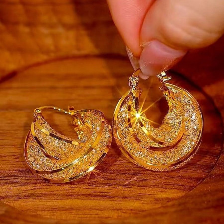 Golden Mesh Circle Earrings-130